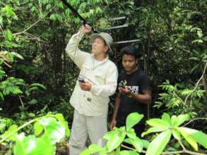 WRS Staff Tracks a Released Binturong