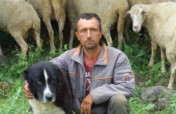 Support Greek farmers,Shepherdog breeds & wildlife