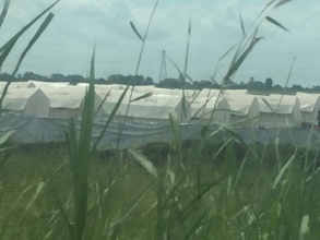 Cyclone Idai Displacement Camp