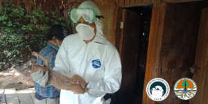 rescue SL with personal protective equipment suit