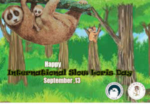 International Slow loris day.september 13