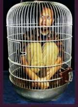 Ilustration poachers or trader send to the cage