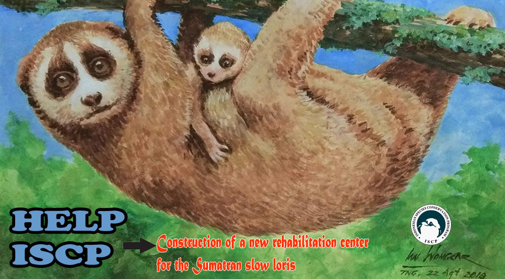 SLOW LORIS & WILDLIFE NEW REHABILITATION CENTER