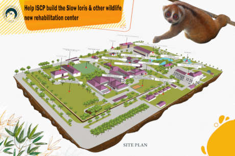 SLOW LORIS & WILDLIFE NEW REHABILITATION CENTER