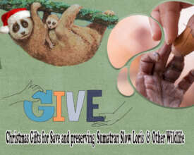 Christmast card ISCP