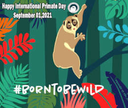 Born tobe Wild