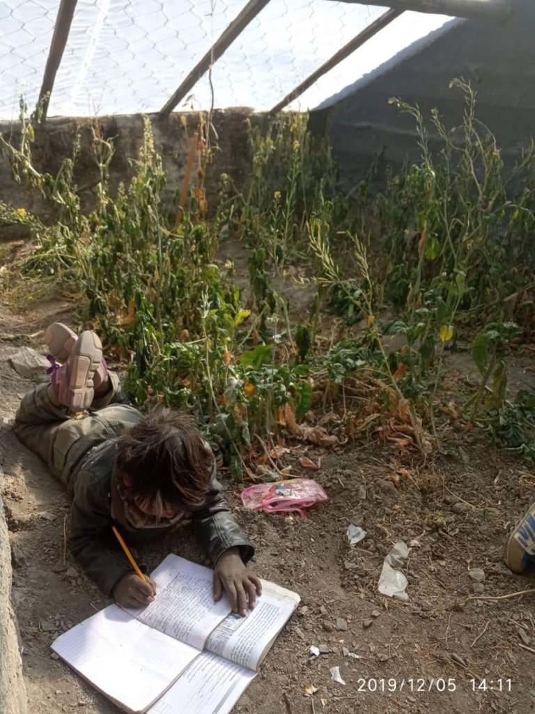 Student studying inside greenhouse
