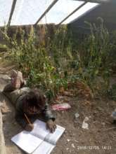 Student studying inside greenhouse