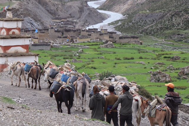 Pack train passed school, going to village