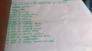 Student Project Report