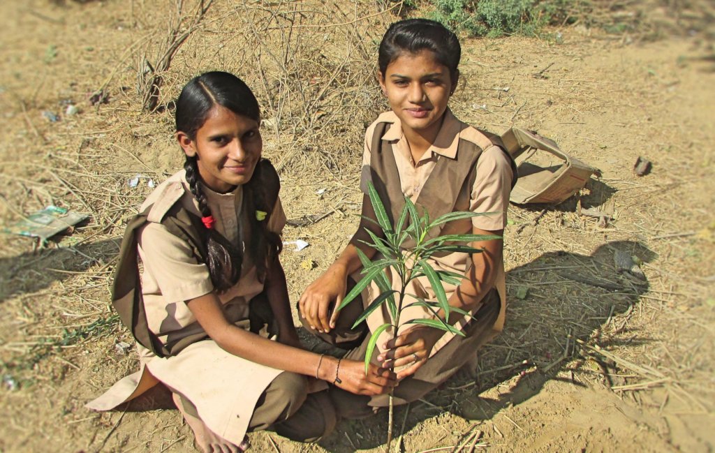 Planting A Tree! Save the Earth !