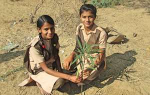 Planting A Tree! Save the Earth !