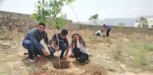 A small Effort; Plant A Tree! Save the Earth !