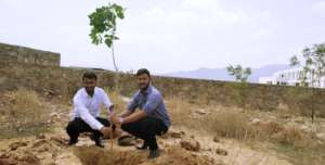A small Effort; Plant A Tree! Save the Earth !