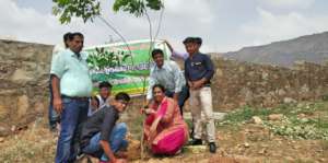 A small Effort; Plant A Tree! Save the Earth !