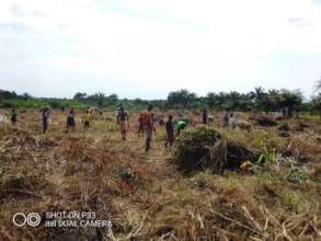 WCC football project