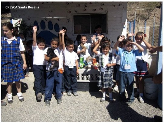 Rescue 100 Abandoned Dogs in Mexico