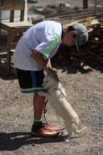 Adopted Dog