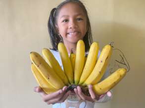 Food supply