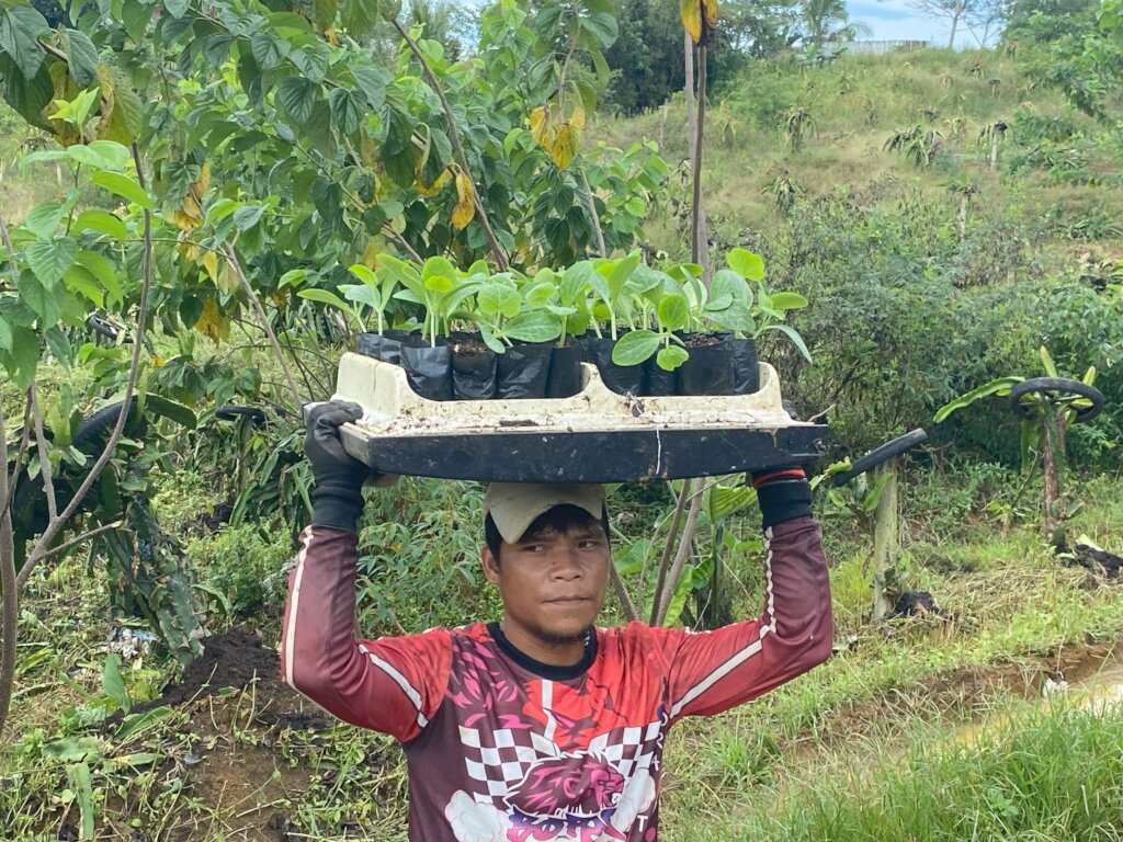 Continue with assistance