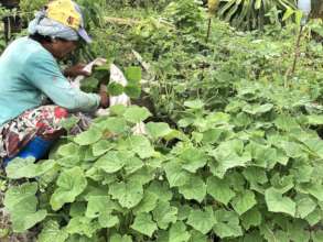 Nutrition through vegetables