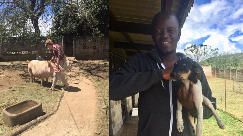 Help Support GlobalGiving's Nonprofits in Africa