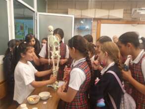 The science and art fair