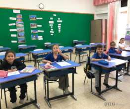 Back to school despite the war