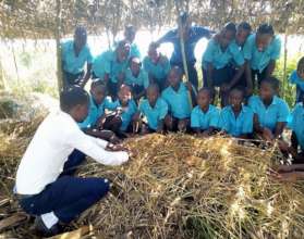 Students learn how to germinate seeds