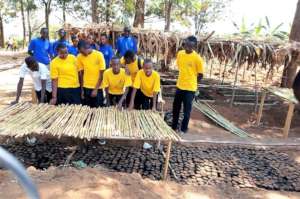 Students inspects nursery roof