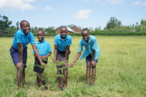 Kizirakome members showing off their thriving tree