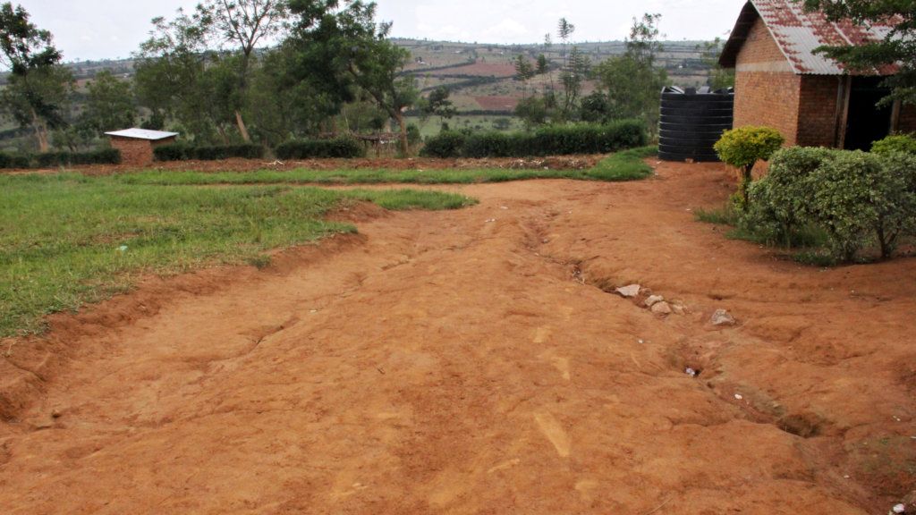 Help 60 Rwandan Students Fight Poverty with Trees