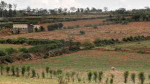 Land with few trees