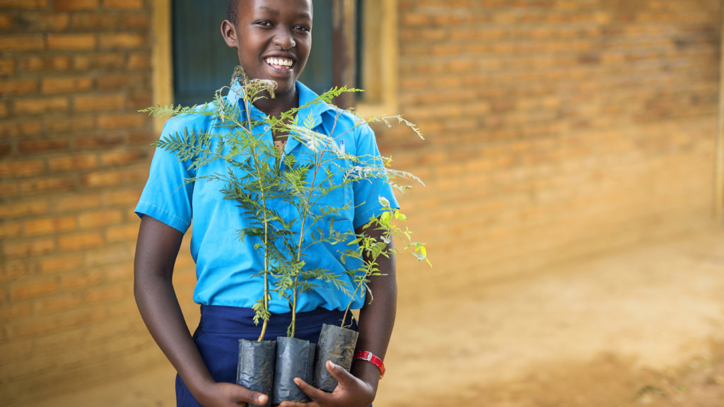Help 60 Rwandan Students Fight Poverty with Trees