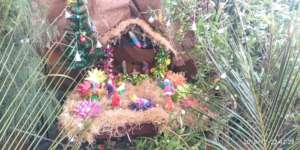 Christmas Celebrations 2018 - 5
