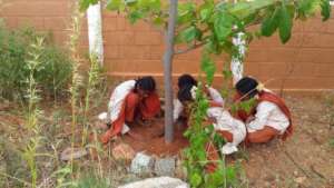Girl students participate in environment activity