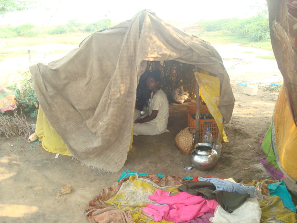 Light from Solar for 250 Tribal Families in India