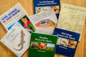Amuseum books