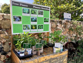 Free plant stand