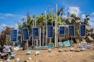 Hurricane Protocol, a poetry exhibit.