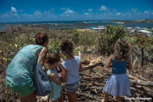 We've cleared a path to the a sea view.