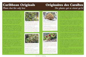 Endemic Plants Exhibit
