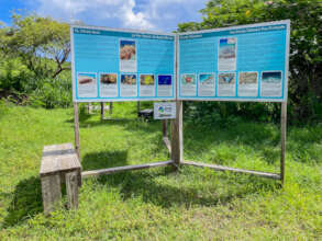 Marine life exhibit