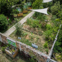 Garden and free plant stand.