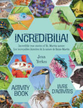 Incredibilia! Activity Book