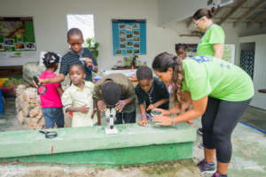 Discovering aquatic life.