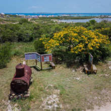 Outdoor exhibits.