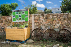 Free plant stand for wildlife-friendly backyards.