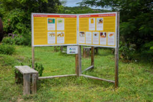 Sargassum Exhibit