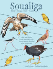 Soualiga Birds
